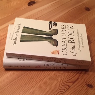 Why Would Anyone Write a Memoir?